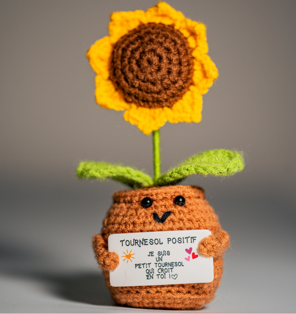 TOURNESOL POSITIF