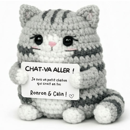 CHATON POSITIF
