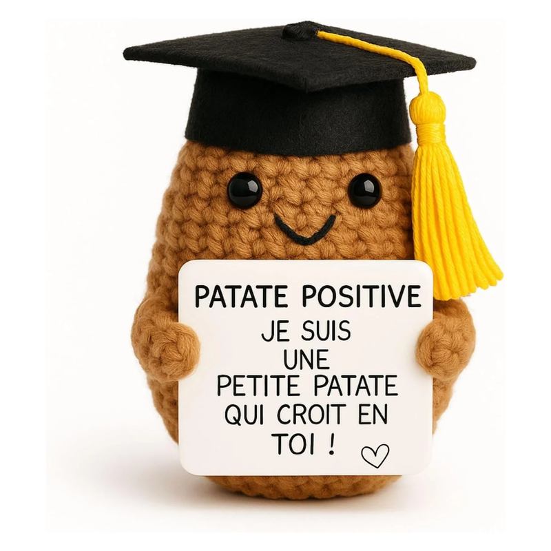 PATATE STUDIEUSE